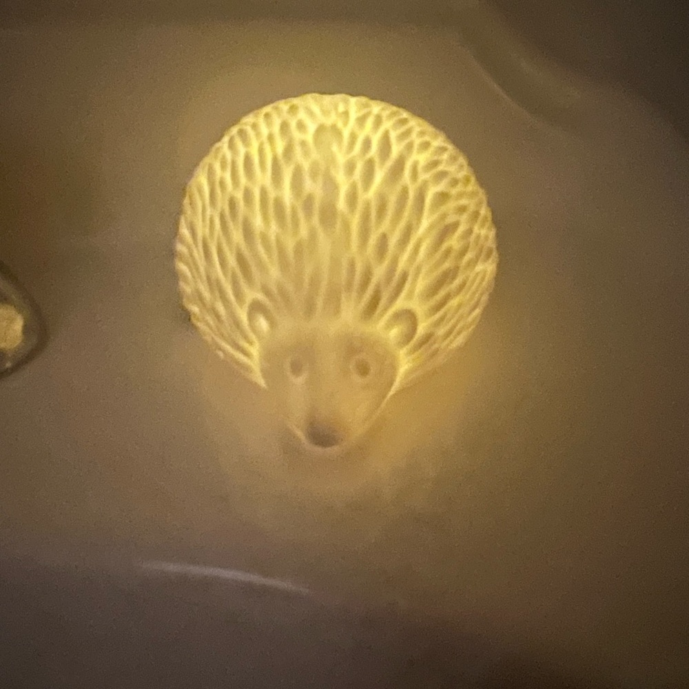 Anthropologie night light. Rare porcupine porcelain. perfect condition.